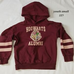 Hogwarts Alumni Maroon Kids Hoodie